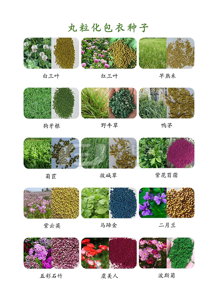 种子丸；庸