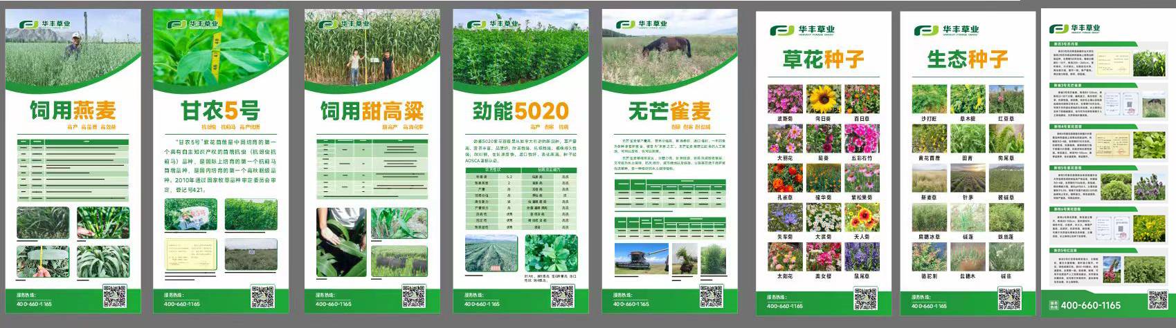 1724150004257530 未标题-1(1).jpg