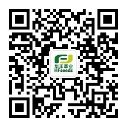 rb88随行版